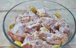 Шашлык из курицы — самые вкусные маринады, чтобы мясо получилось мягким и сочным