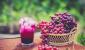 Консервируем сок из винограда дома – простой рецепт со всеми подробностями