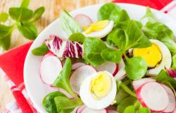 Salatalar basit ve lezzetli