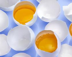 Weight and calorie content of 1 egg