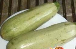 Sotelenmiş sebzeler - fotoğraflı tarif, fırında nasıl pişirilir Kızartmadan fırında sotelenmiş sebzeler