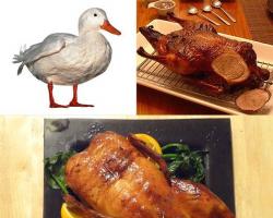 Fırında folyo içinde ördek Folyoda ördek nasıl düzgün şekilde pişirilir